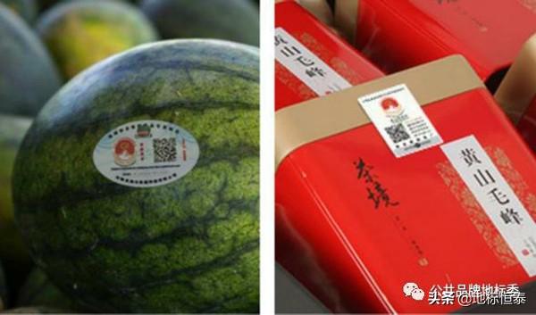 地理标志查询(中国地理标志网)