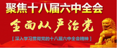 十九届六中全会决议中的10个明确)(最新新闻热搜