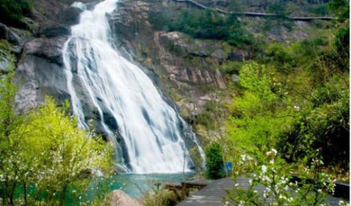 举报不实怎么处理 (网上举报怎么举报)