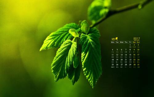 监管层严查违规资金进楼市 广发招行等多家银行中