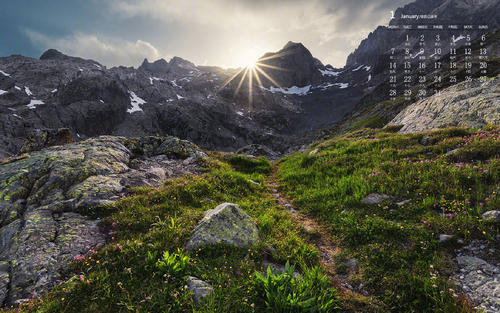 南京酒多少钱  南京n酒多少钱