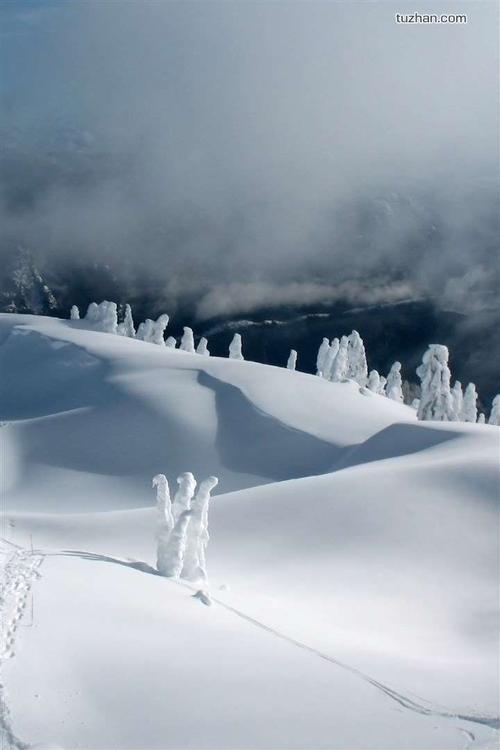 阿里巴巴美国股票