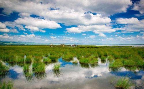 韩国民众给素媛案罪犯家断燃气