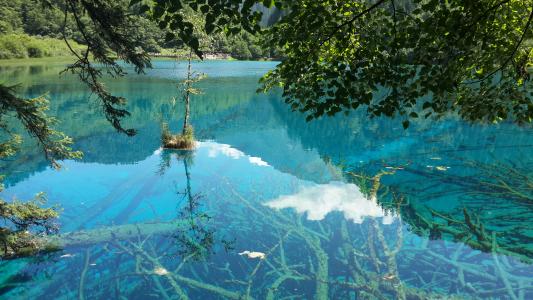 韩国民众给素媛案罪犯家断燃气