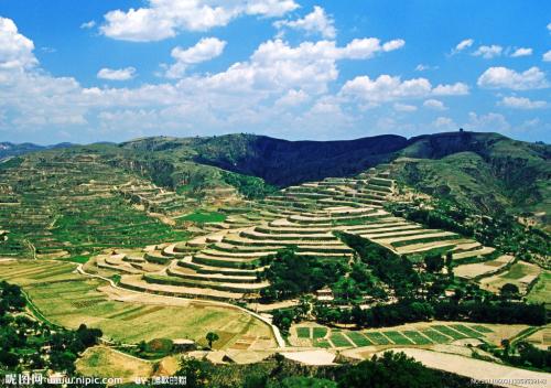 国家表彰抗疫先进个人名单