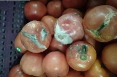 五粮液万事如意价格-五粮液万事如意多少钱