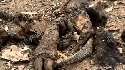 怎么看是纯粮酒还是勾兑酒