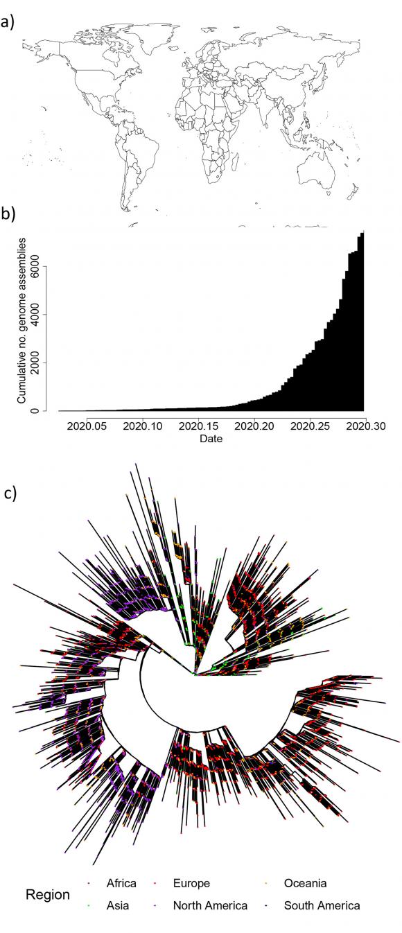 疫情什么时候开始的准确时间(新冠最早始于2019年十月) 疫情什么时候开始的准确时间(新冠最早始于2019年十月)