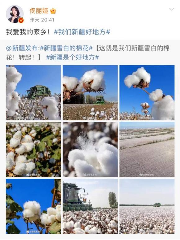 新疆棉花事件的起因经过和结果(新疆棉花辱华名单) 新疆棉花事件的起因经过和结果(新疆棉花辱华名单)