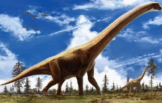 世界上最大的恐龙排名第一(十大体型最大的恐龙) 世界上最大的恐龙排名第一(十大体型最大的恐龙)