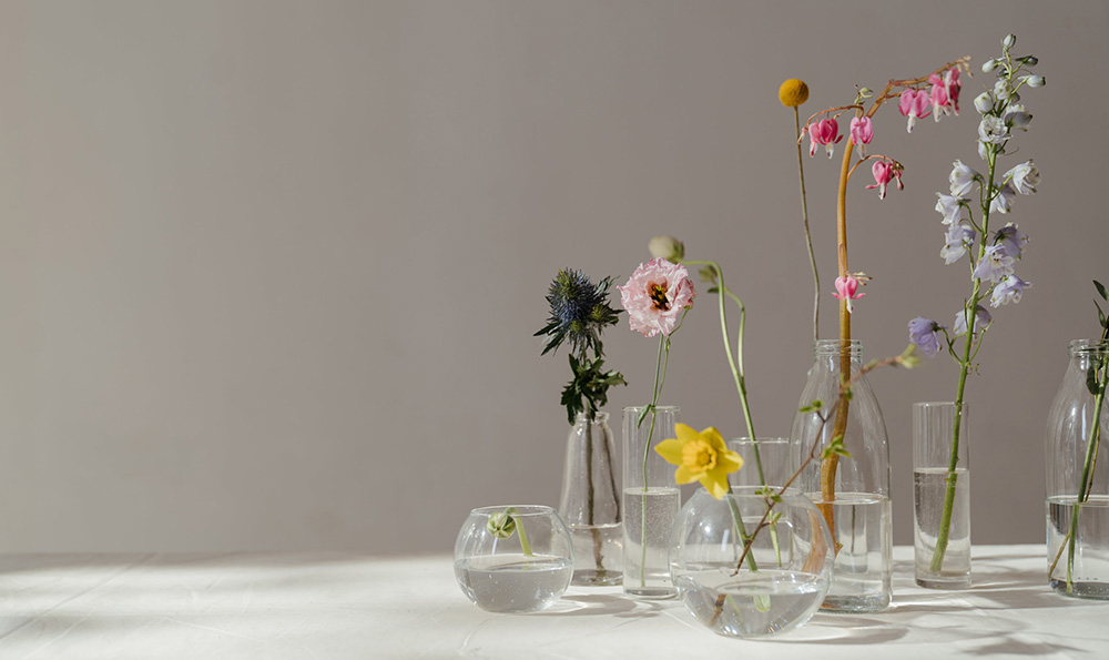 盾妈妈商标交易注意事项和申请资料