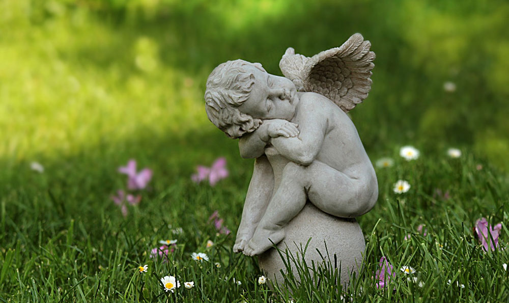 商标数字证书申请流程