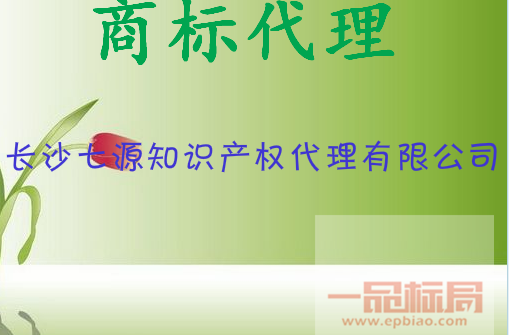 长沙七源知识产权代理有限公司 长沙七源知识产权代理有限公司