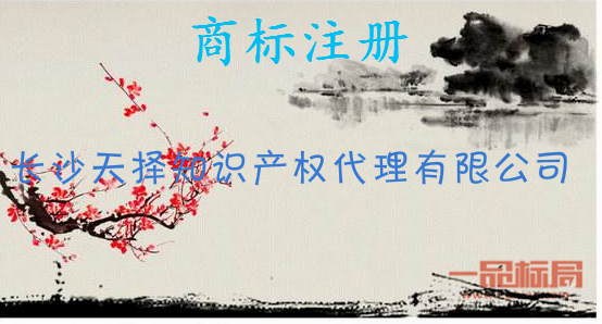 长沙天择知识产权代理有限公司.png