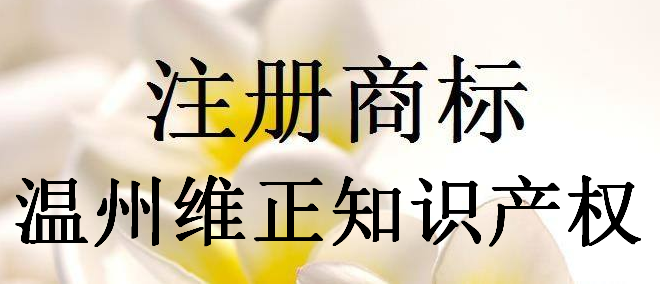 温州维正知识产权代理有限公司