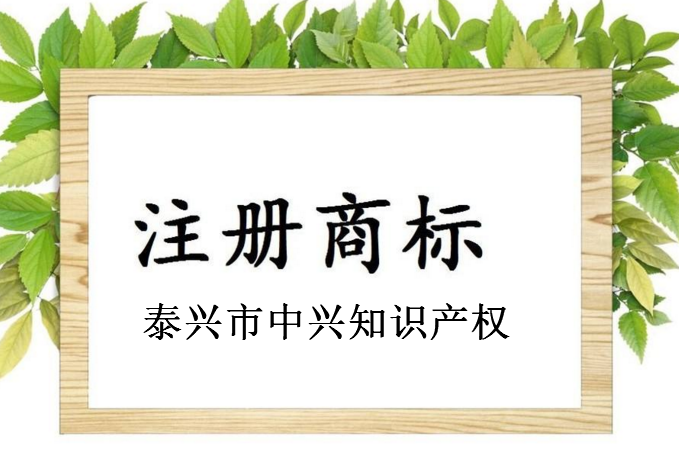 泰兴市中兴知识产权服务有限公司 泰兴市中兴知识产权服务有限公司