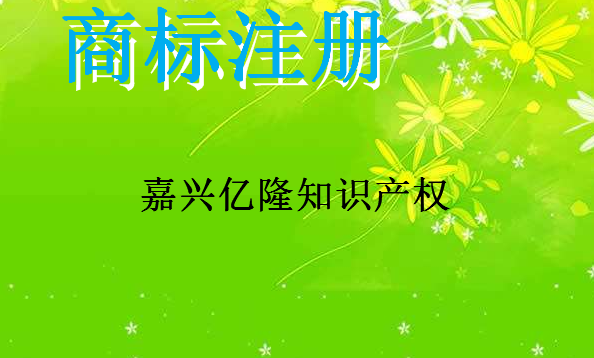 嘉兴亿隆知识产权服务有限公司 嘉兴亿隆知识产权服务有限公司