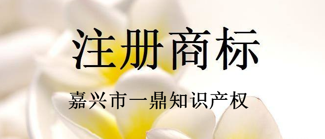 嘉兴市一鼎知识产权代理有限公司 嘉兴市一鼎知识产权代理有限公司