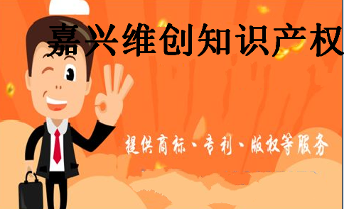 嘉兴维创知识产权代理有限公司 嘉兴维创知识产权代理有限公司