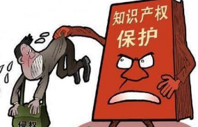 知识产权保护,电商发展之基 知识产权保护,电商发展之基