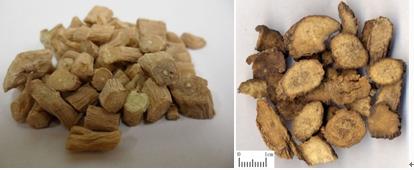 “宝兴川牛膝”获得地理标志证明商标 “宝兴川牛膝”获得地理标志证明商标