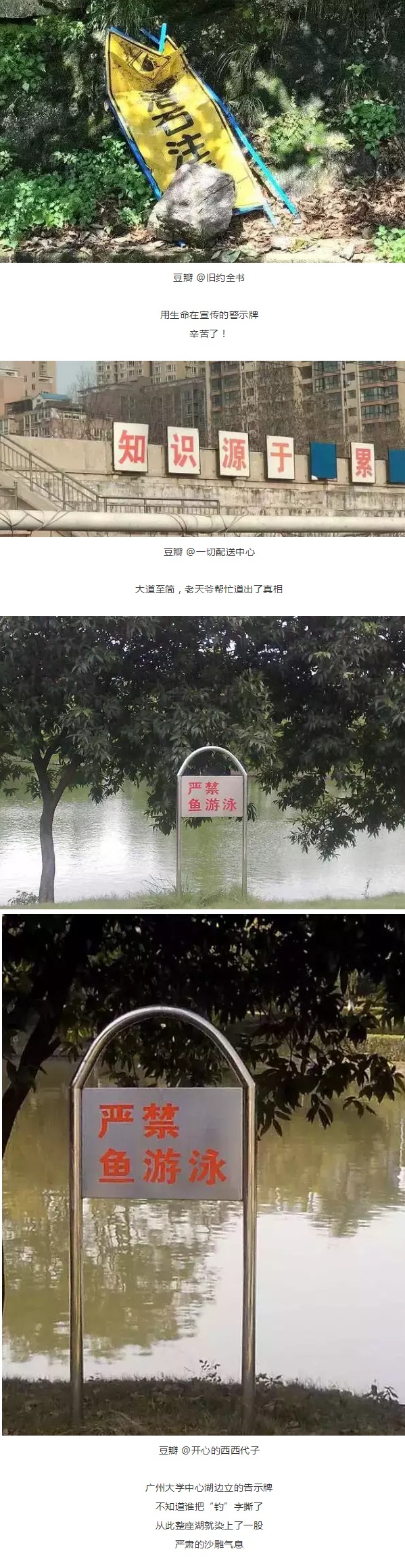 中国魔幻招牌大赛，沙县、中通齐齐中招！