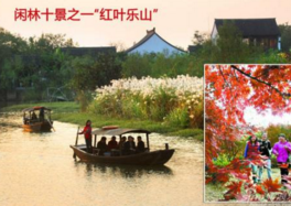 杭州公布10起违法广告案 绿地一楼盘擅用G20标志被罚31万