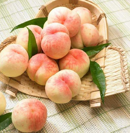 一只水蜜桃顶上一只老母鸡看地理标志如何打响