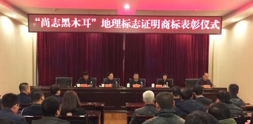 “尚志黑木耳”地理标志证明商标获50万元奖励 产品年末上市 “尚志黑木耳”地理标志证明商标获50万元奖励 产品年末上市