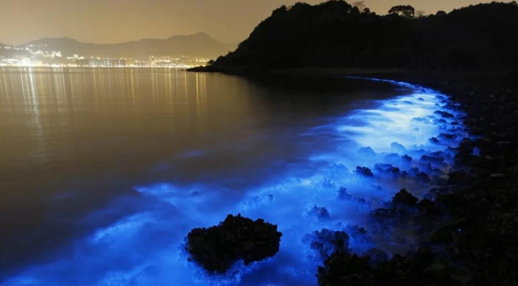 “蓝眼泪”遭商标抢注，马祖人卖糕饼、茶饮恐