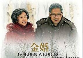 《金婚》状告丽水网吧侵权