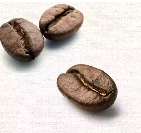 与星巴克抢食的Cama咖啡