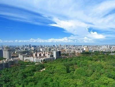 河北鼓励支持涉林品牌 最高奖励50万元