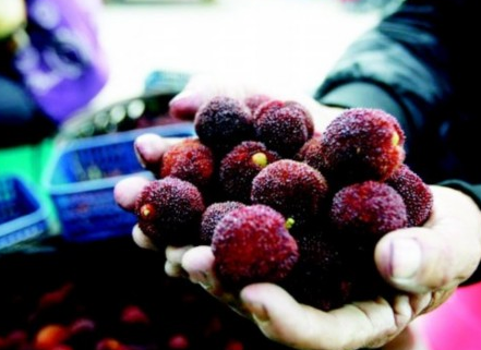 漳州地理商标全省第二多 各县市都有特产