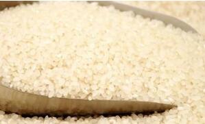 盐城三大驰名商标亮相上海推介会 盐城三大驰名商标亮相上海推介会