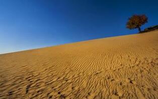 淮安地理标志商标总数稳居全国地级市第一 淮安地理标志商标总数稳居全国地级市第一