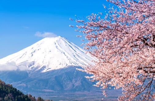 干货：日本商标注册手册