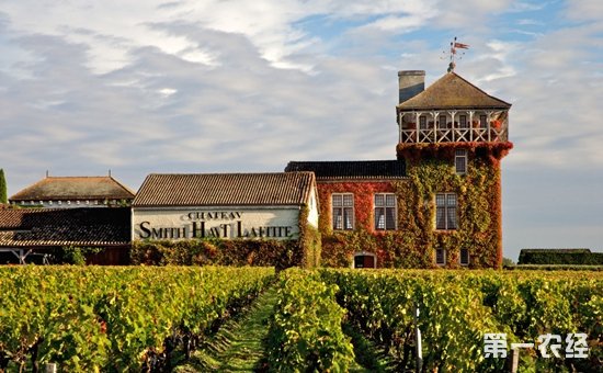 “酒庄葡萄酒”证明商标将授予中国16个酒庄  旨在保护酒庄声誉