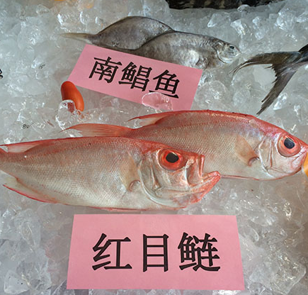 汕尾打造优质特色农产品品牌 汕尾打造优质特色农产品品牌