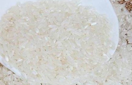 广东好大米十大品牌出炉 云浮、江门等市获评好大米特色产区 广东好大米十大品牌出炉 云浮、江门等市获评好大米特色产区