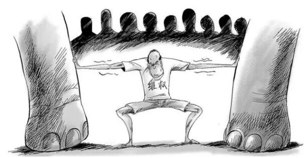 标局早知讯│专家呼吁设立绿色通道,遏制“恶意商标”! 标局早知讯│专家呼吁设立绿色通道,遏制“恶意商标”!