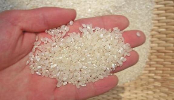 溧水区“湫湖”大米获中国驰名商标