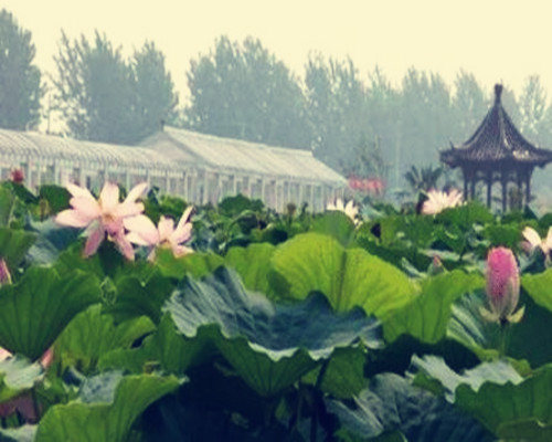 扬州商标注册重磅快讯：“扬州漆器”获地理标志证明商标殊荣