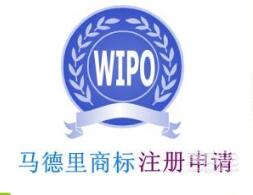 济南马德里商标国际注册培训班圆满召开