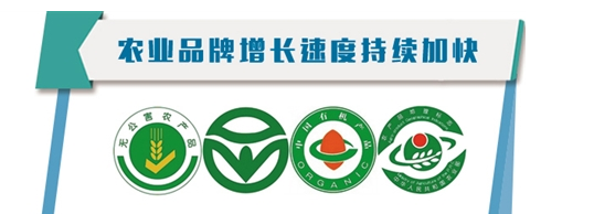 我国农产品品牌建设任重道远 呼唤有影响力的品