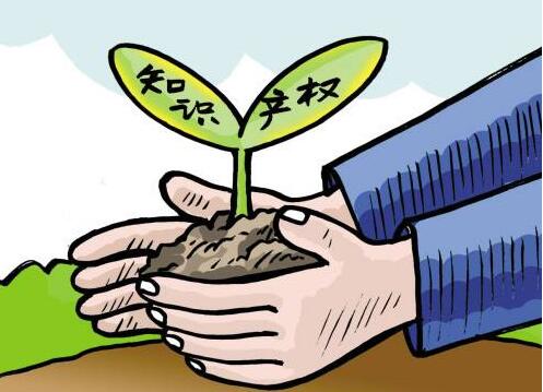 培育东莞特色农产品品牌