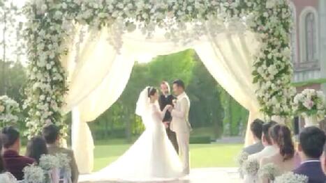 奥迪道歉，这场闹剧究竟谁的错？