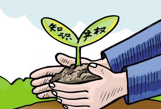 北京大兴举办电子商务领域知识产权（专利）保