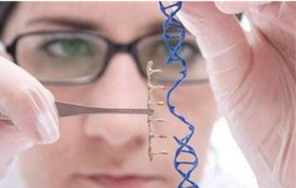 商标矢量图案例展示