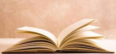 商标法论文一:商标侵权认定中的混淆理论 商标法论文一:商标侵权认定中的混淆理论